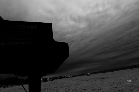 Flügel am Strand